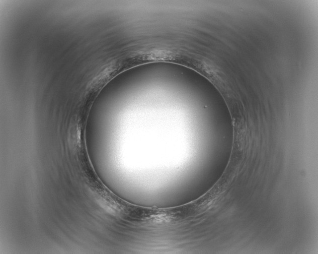 X0000054360310200508051536
