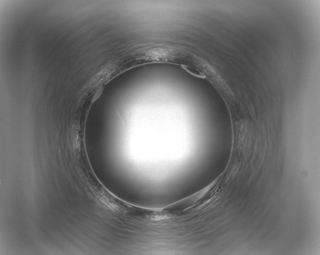 X0000054360313200508051536