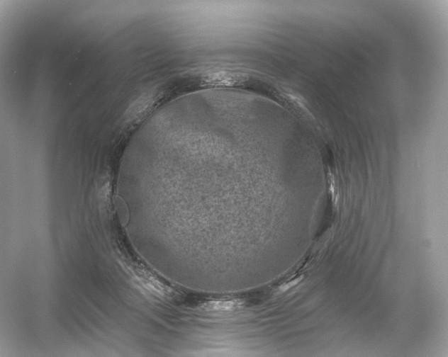 X0000054360314200508051536