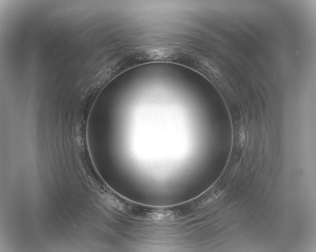 X0000054360317200508051536