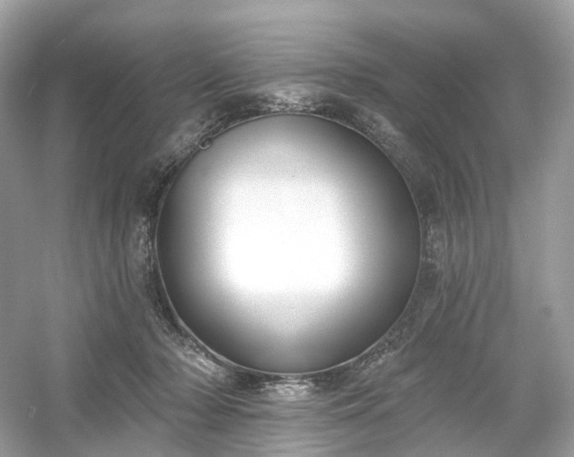 X0000054360318200508051536
