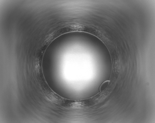 X0000054360320200508051536