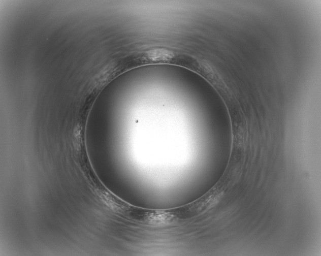X0000054360321200508051536