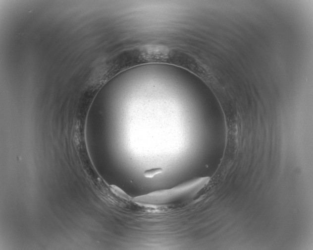 X0000054360323200508051536