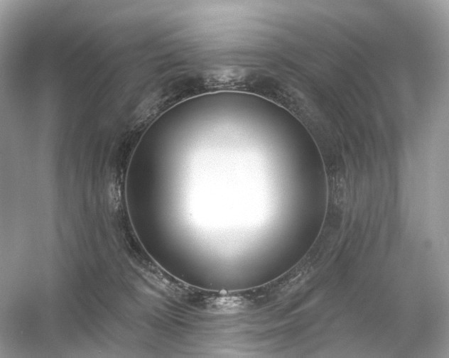 X0000054360324200508051536