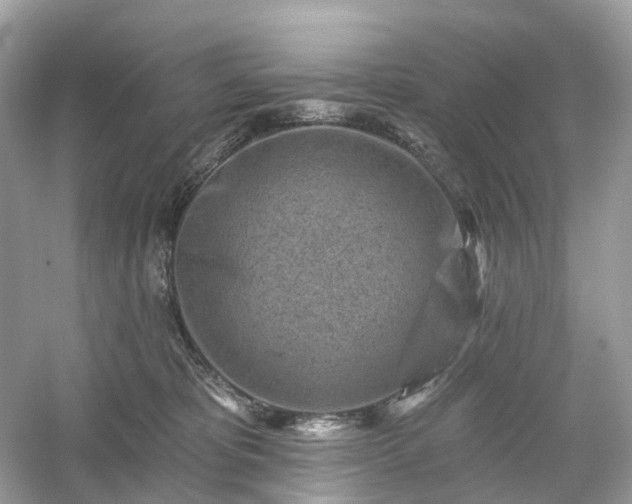 X0000054360325200508051536