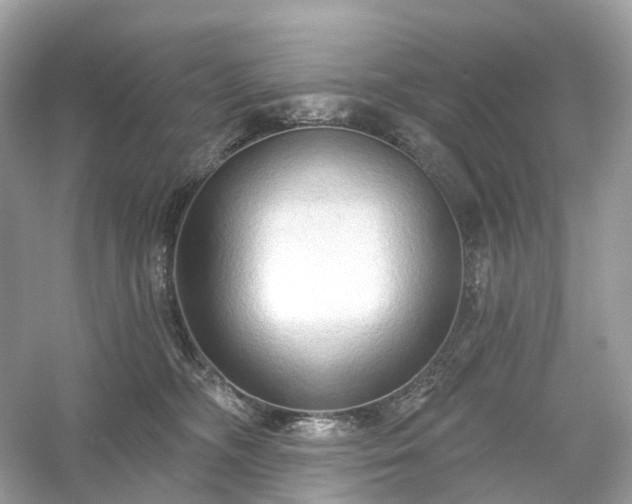 X0000054360326200508051536