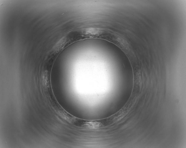 X0000054360328200508051536