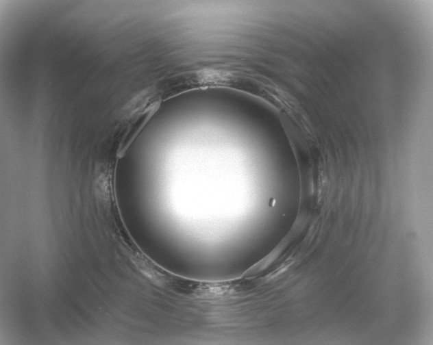 X0000054360329200508051535