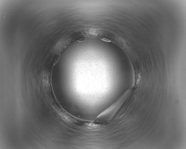 X0000054360331200508051535