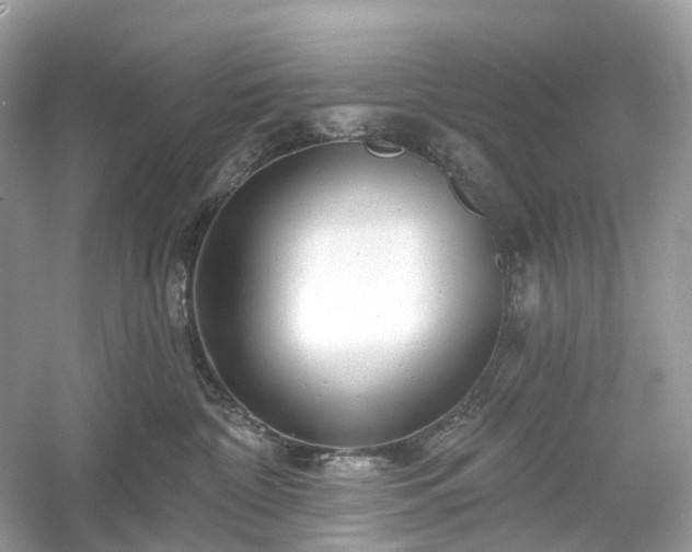 X0000054360332200508051535
