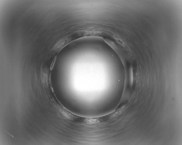 X0000054360333200508051535