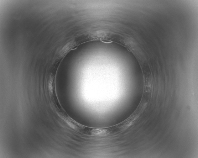 X0000054360334200508051535