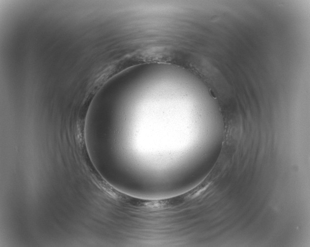 X0000054360335200508051535