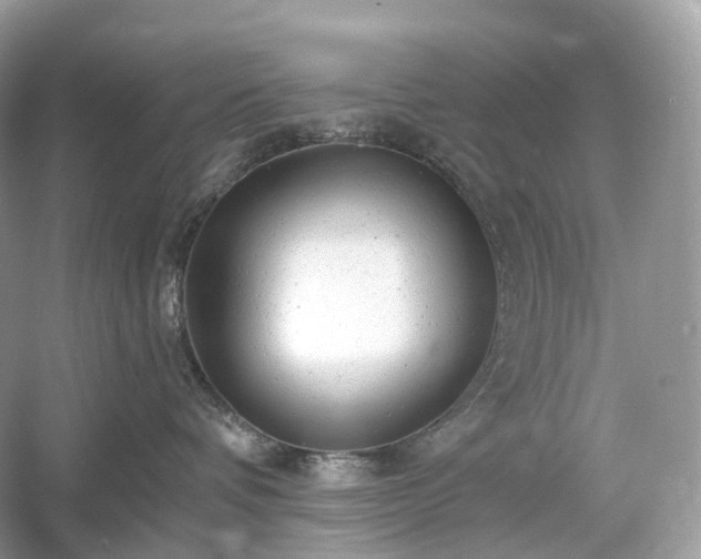 X0000054360336200508051535