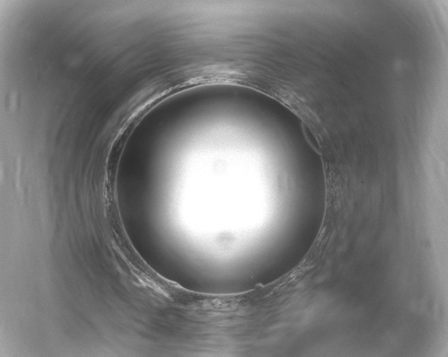 X0000054360338200508051535