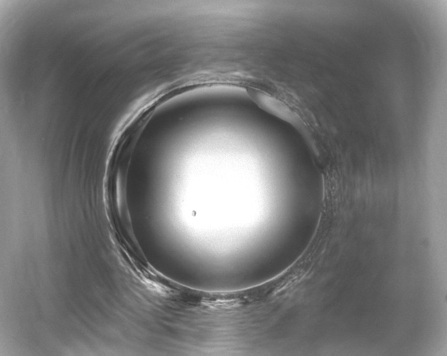 X0000054360340200508051535
