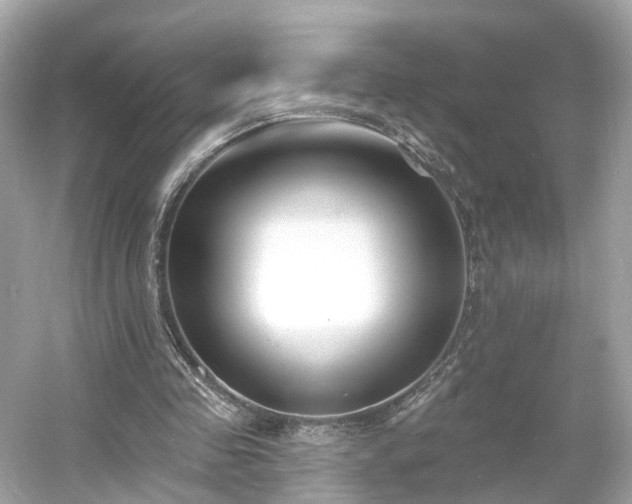 X0000054360341200508051535