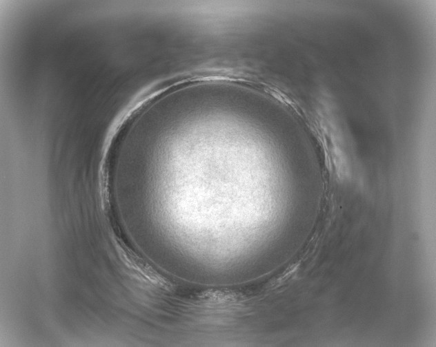 X0000054360343200508051535