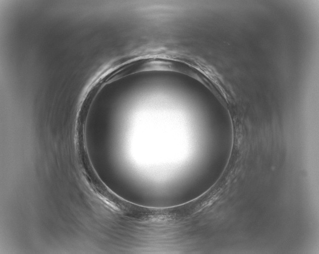 X0000054360344200508051535