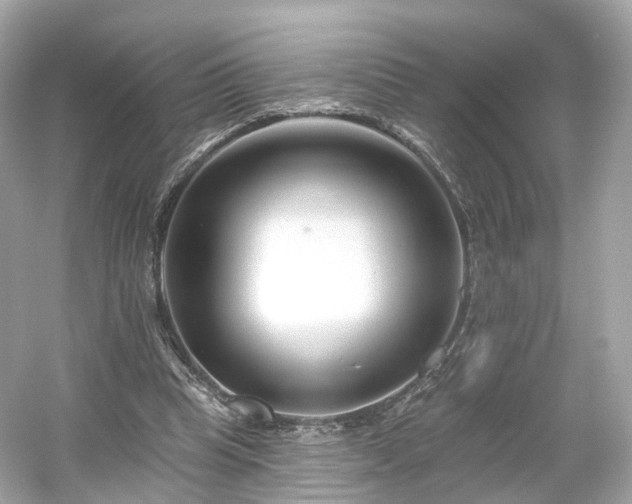 X0000054360345200508051535