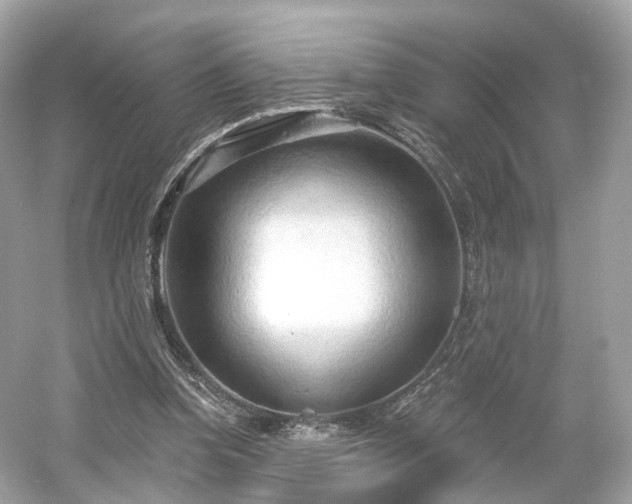 X0000054360346200508051535