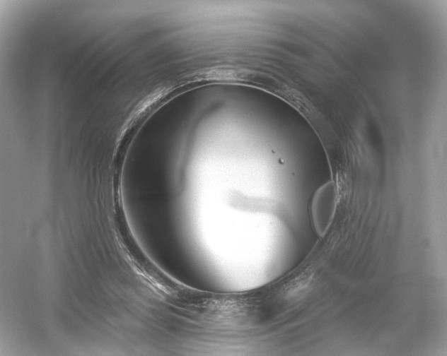 X0000054360349200508051535