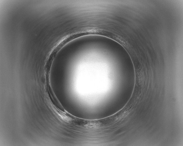 X0000054360350200508051535