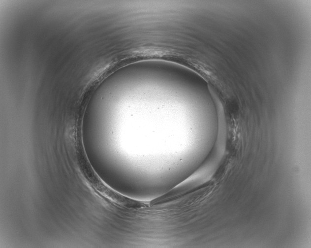 X0000054360352200508051535