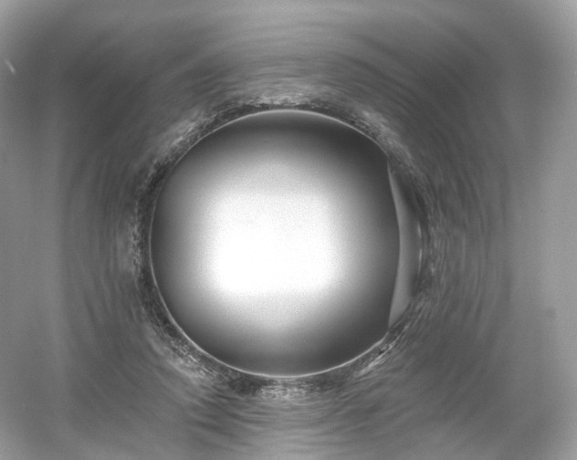 X0000054360354200508051535
