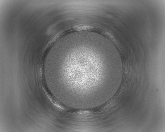 X0000054360357200508051535