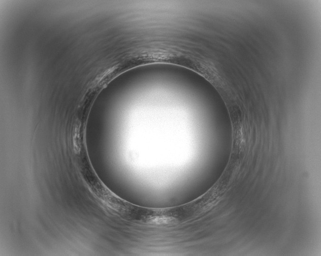 X0000054360360200508051535