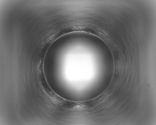 X0000054360364200508051535