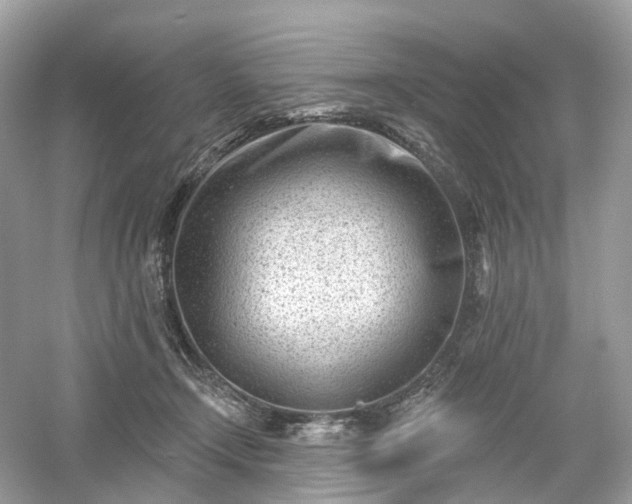 X0000054360366200508051535