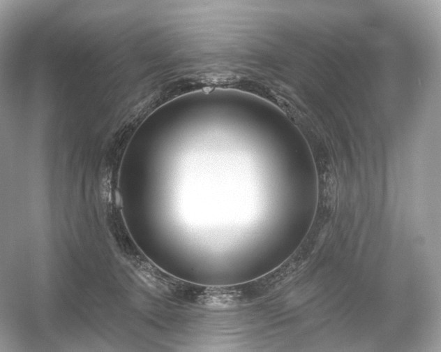 X0000054360368200508051535