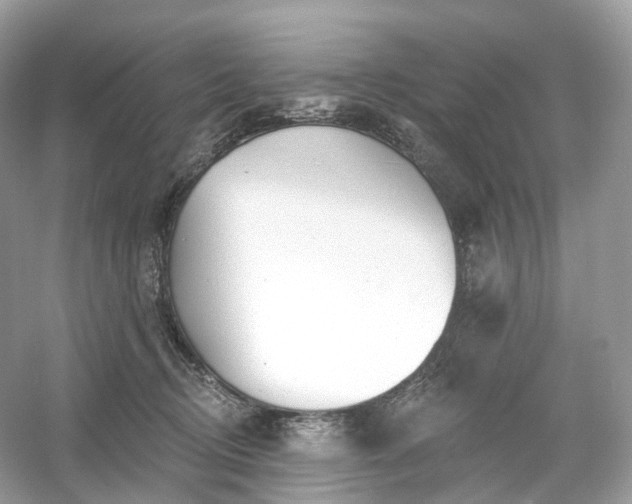 X0000054360370200508051535