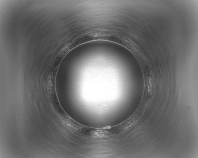X0000054360372200508051535
