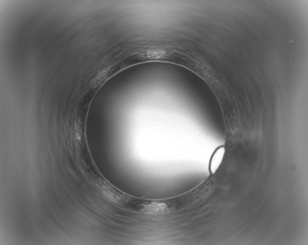 X0000054360374200508051535