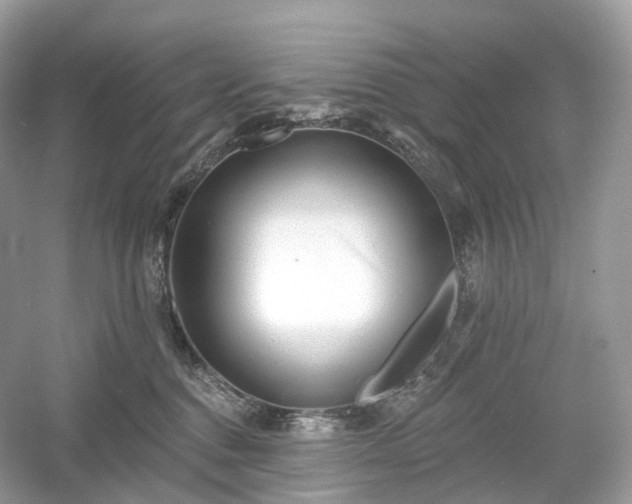 X0000054360376200508051535