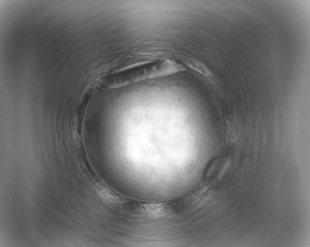 X0000054360377200508051535