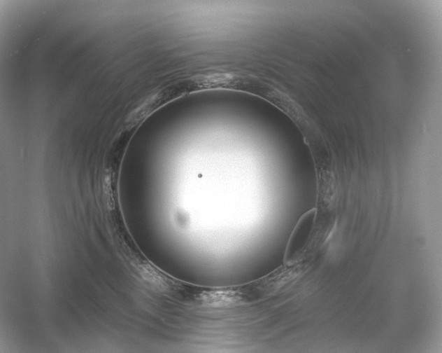 X0000054360378200508051535