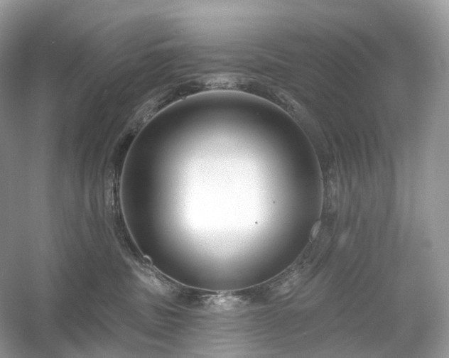 X0000054360379200508051535