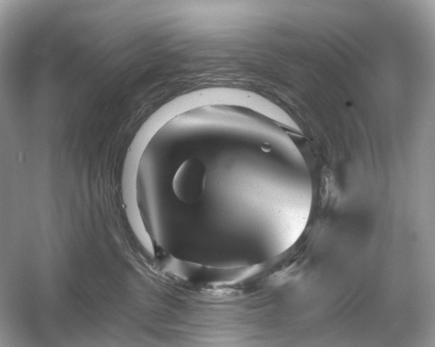 X0000054360380200508051535