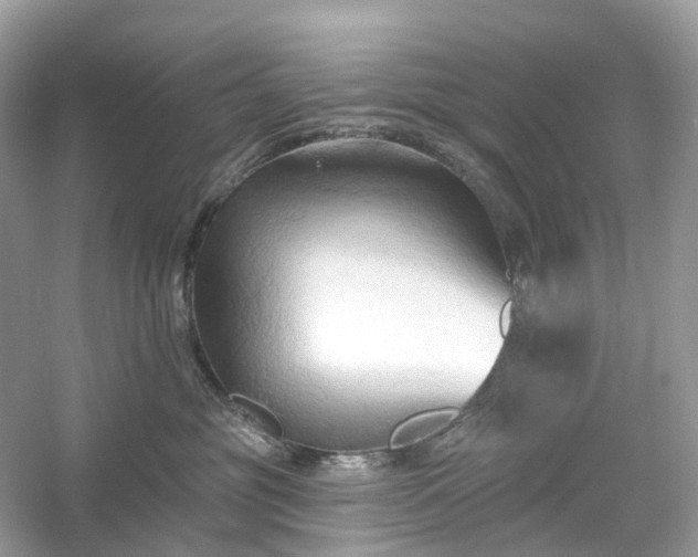 X0000054360381200508051535