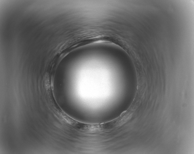 X0000054360384200508051535