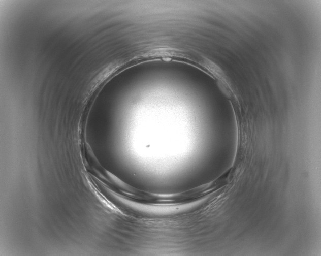 X0000054360389200508051534