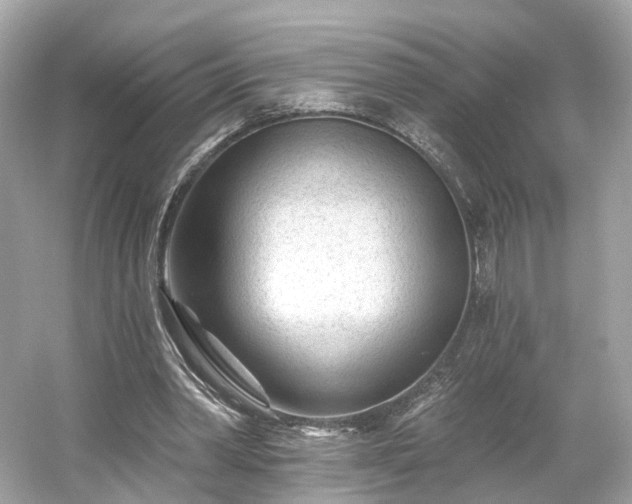 X0000054360390200508051534