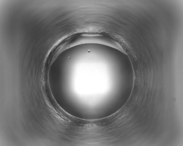X0000054360392200508051534