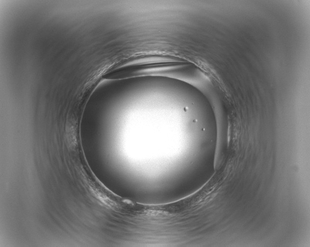 X0000054360393200508051534