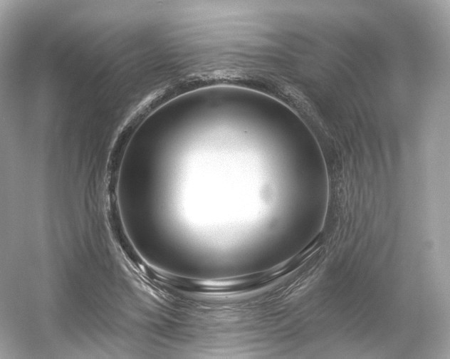 X0000054360395200508051534